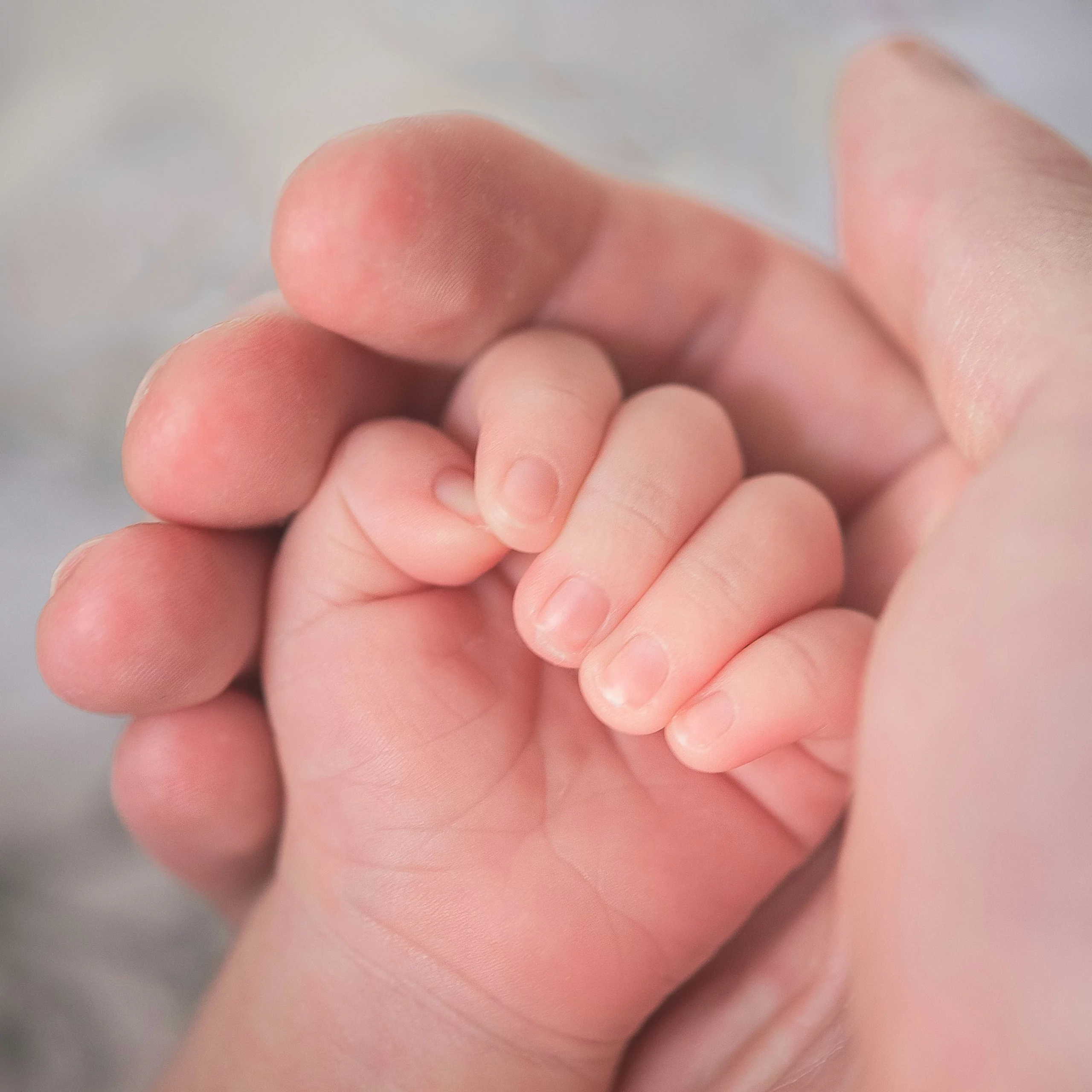 Photographe Carouge Geneèe pour bébé et naissance