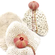 Boucle d’oreilles pendantes oursin avec chaînettes colorées