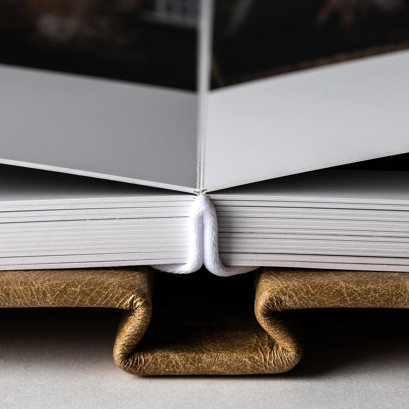 Livre cuir pour photographie.