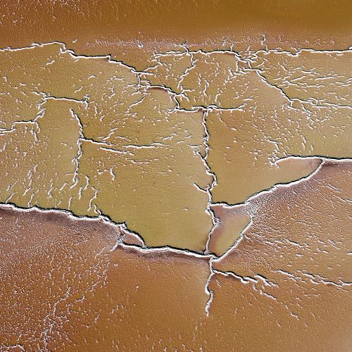 Art Photography: Approchedemars