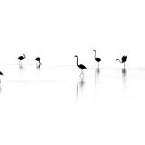 arpeges