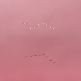 Scatter in the Future2