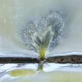 implosantefixe