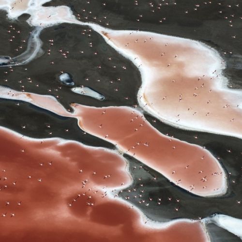 Art Photography: Jupiter